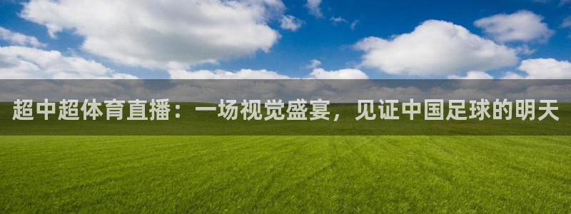 说球帝高清直播：超中超体育直播：一场视觉盛宴，见证中国足球的明天