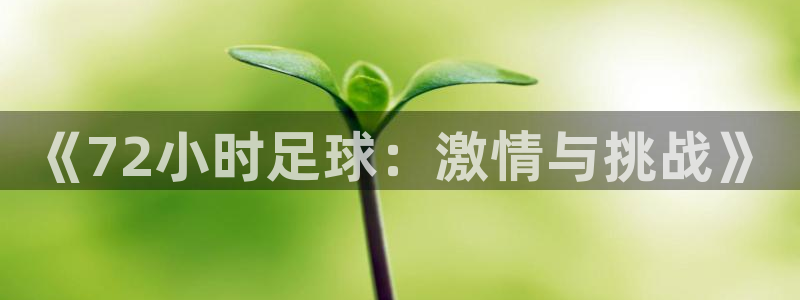 说球帝nba在线直播：《72小时足球：激情与挑战》