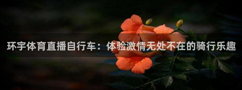 说球帝直播nba：环宇体育直播自行车：体验激情无处不在的骑行乐趣