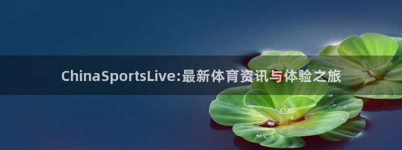 nba说球帝直播在线观看：ChinaSportsLive:最新体育资讯与体验之旅