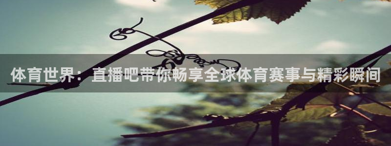 说球帝体育直播免费：体育世界：直播吧带你畅享全球体育赛事与精彩瞬间