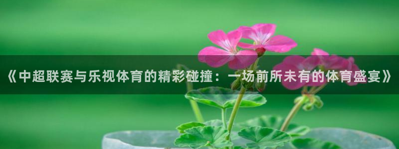说球帝在线观看：《中超联赛与乐视体育的精彩碰撞：一场前所未有的体育盛宴》