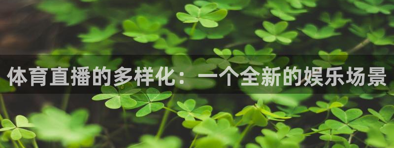 说球帝app：体育直播的多样化：一个全新的娱乐场景