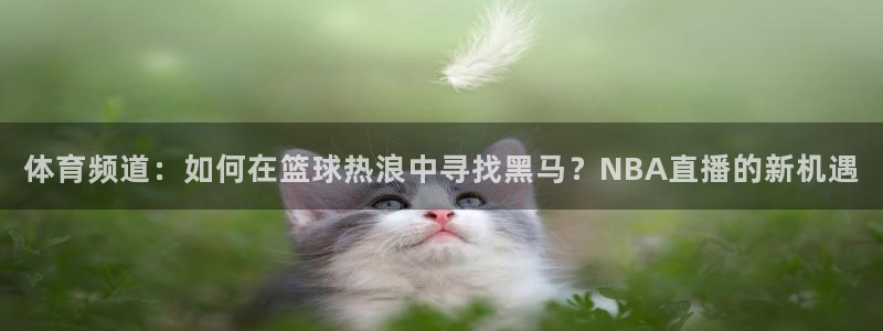 说球帝在线直播免费观看：体育频道：如何在篮球热浪中寻找黑马？NBA直播的新机遇