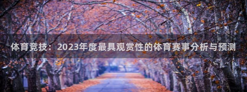 说球帝：体育竞技：2023年度最具观赏性的体育赛事分析与预测