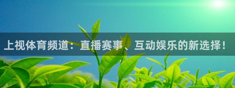 说球帝体育足球篮球五大联赛24小时实时直播：上视体育频道：直播赛事、互动娱乐的新选择！