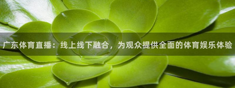说球帝体育直播在线观看：广东体育直播：线上线下融合，为观众提供全面的体育娱乐体验