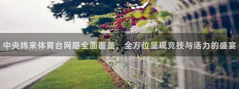 说球帝tv：中央纬来体育台网路全面覆盖，全方位呈现竞技与活力的盛宴