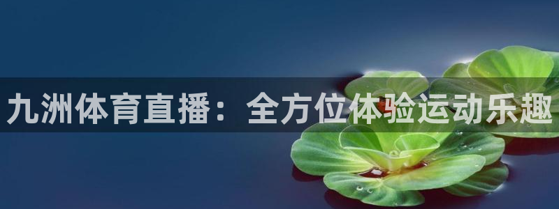 说球帝在线直播观看：九洲体育直播：全方位体验运动乐趣
